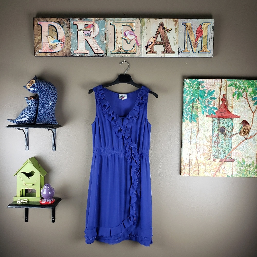 Baraschi ruffle lace dress size 12